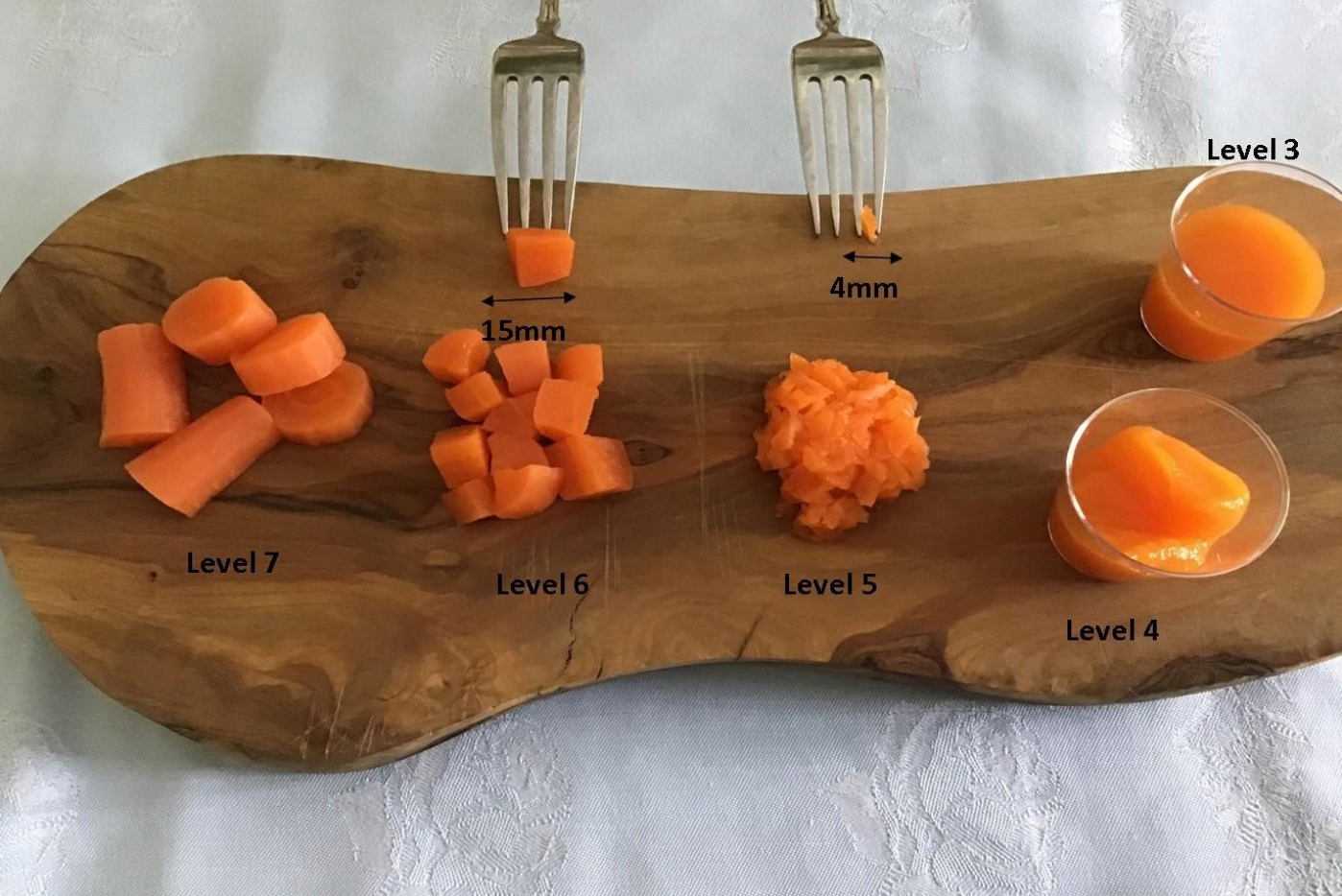 What is Dysphagia? A Guide to IDDSI Level & Taking Care of the Patients